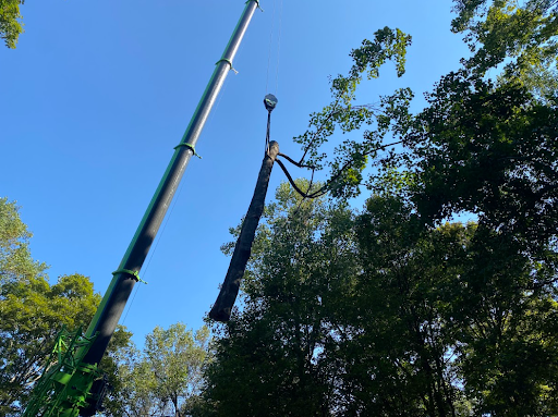 Tree Removal in Franklin TN